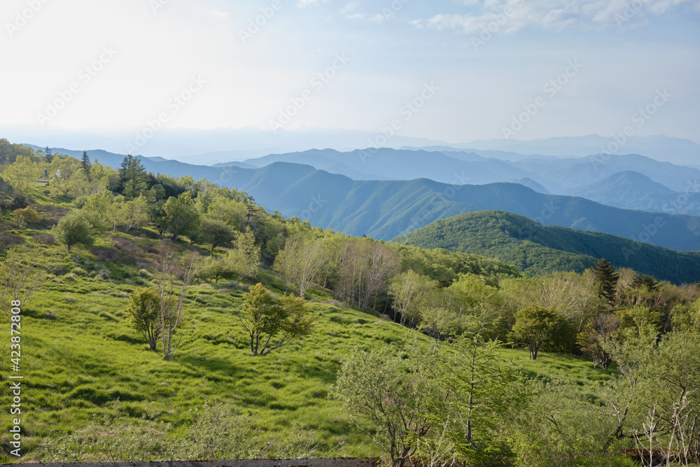 Naklejka premium 美ヶ原高原から眺める上田地域の風景