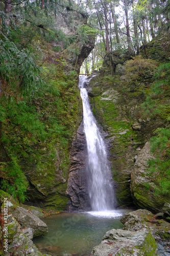 beautiful waterfall in the green