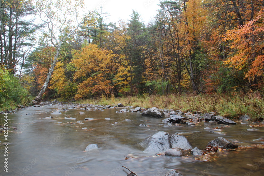 Rainy day river in autumn forest Rainy day river in autumn forest