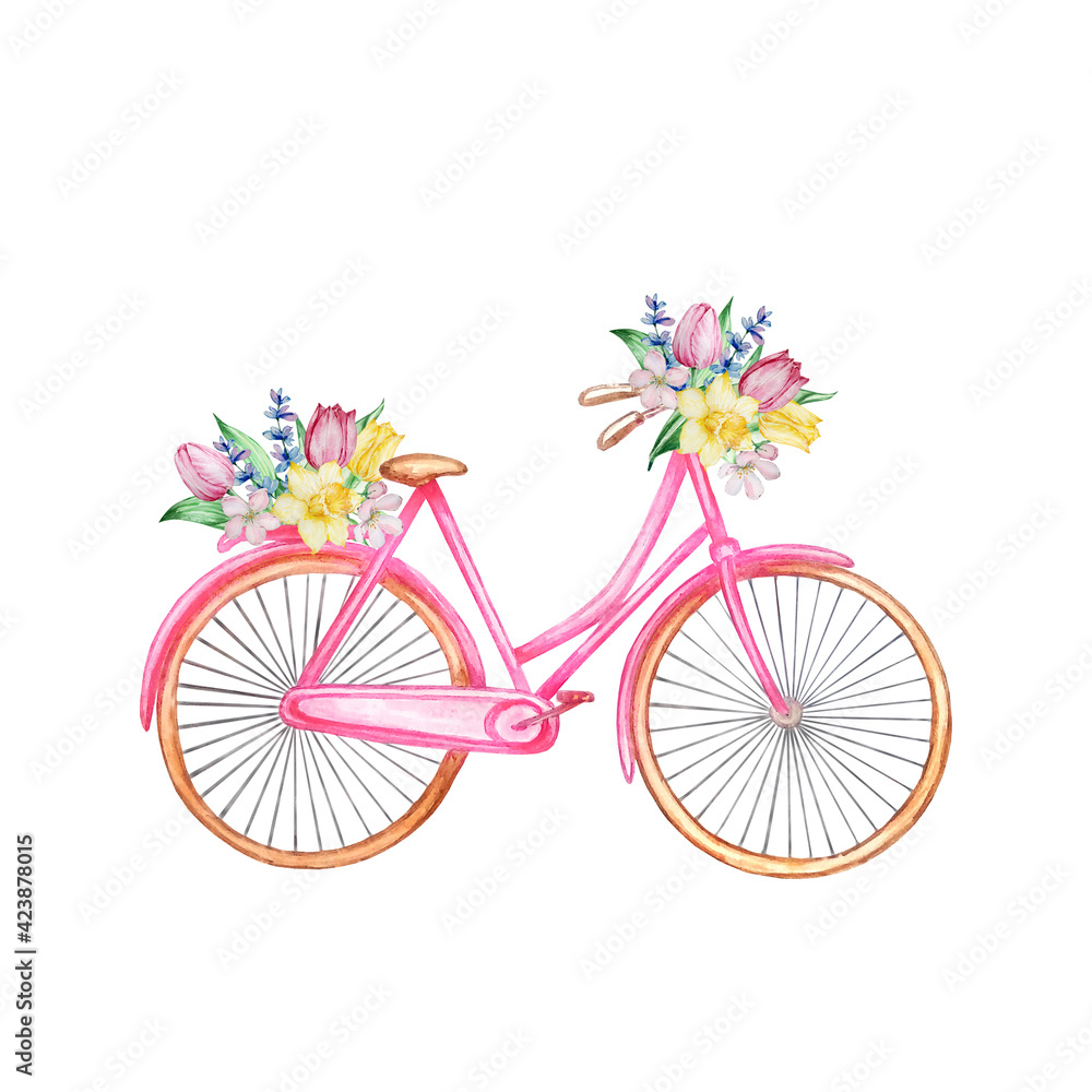 Fototapeta premium Watercolor painting spring flowers, pink bike with tulips