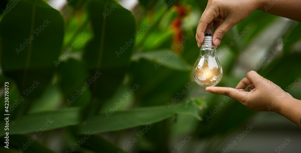 hand holding light bulb against nature, icons energy sources for renewable,