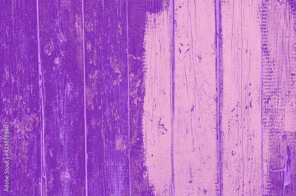 abstract violet; pink and purple colors background for design
