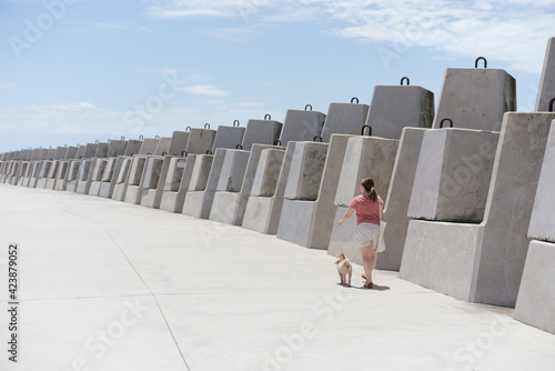 tertrapod concrete coffs harbour photo