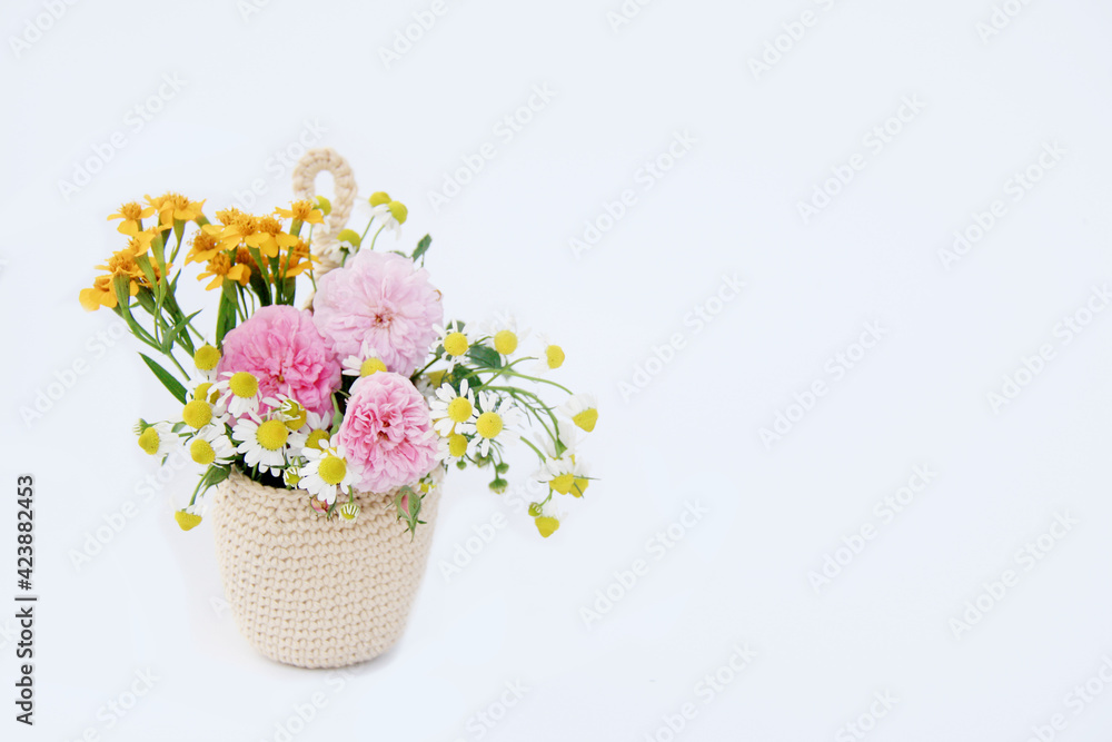 Beautiful color of flower in crochet hanging planter isolated on white background.