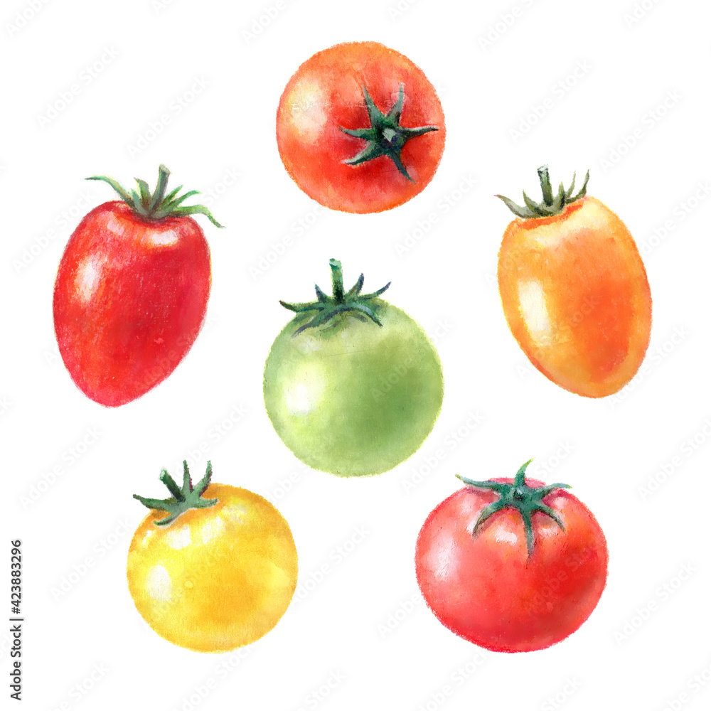 ミニトマトの水彩イラスト