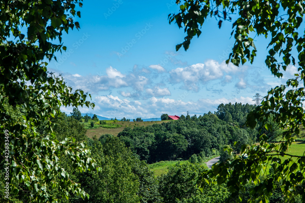 夏の士別市 雲と羊の丘の風景