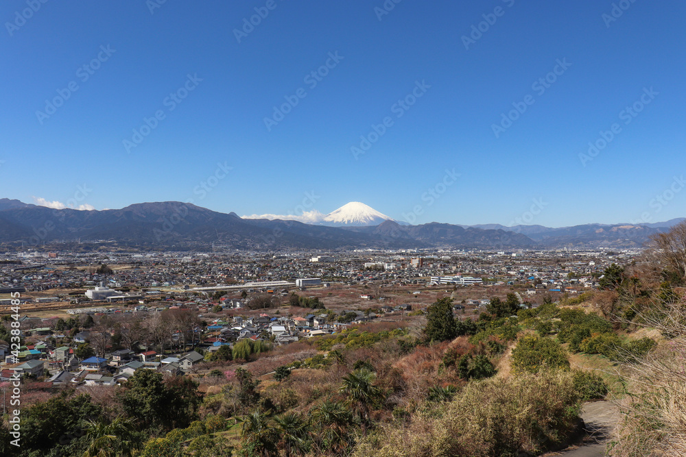 足柄平野と富士山（神奈川県小田原市）