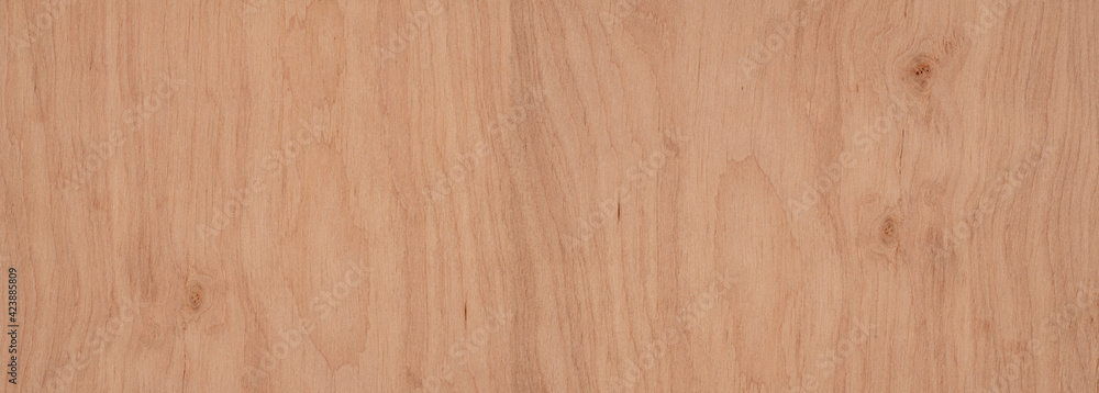 Wood texture. Wood background with natural pattern for design and decoration. Wood texture. Wood background with natural pattern for design and decoration.