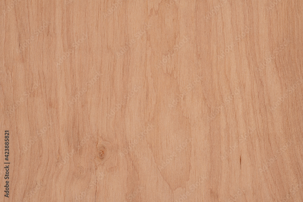 Wood texture. Wood background with natural pattern for design and decoration. Wood texture. Wood background with natural pattern for design and decoration.