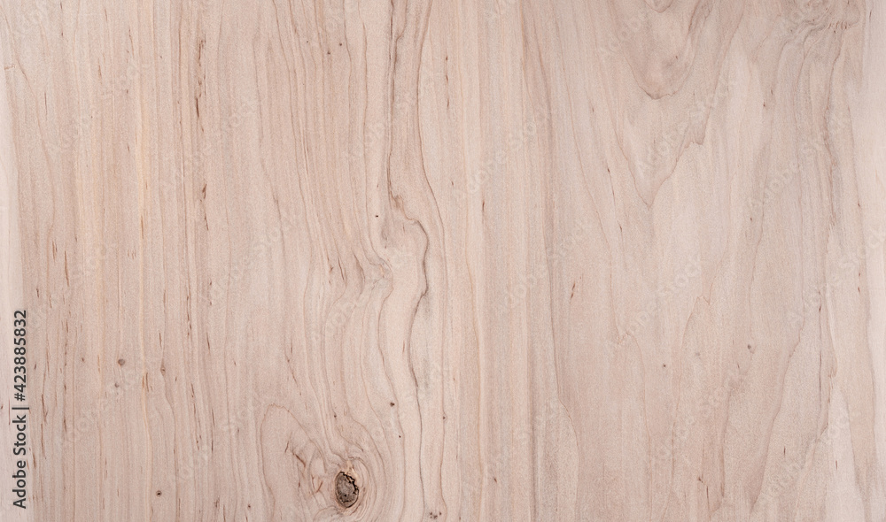 Fototapeta premium Wood texture. Wood background with natural pattern for design and decoration.