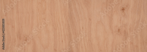 Wood texture. Wood background with natural pattern for design and decoration.