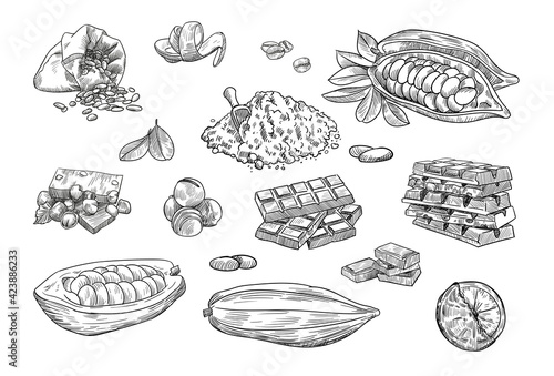 Chocolate elements hand drawn vector illustration collection. Engraved cocoa beans or butter and dark chocolate bars vintage sketch. Dessert and food concept