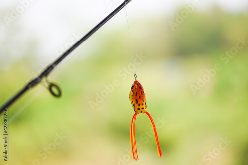 Fishing lure or Fishing bait on Fishing rod with nature background