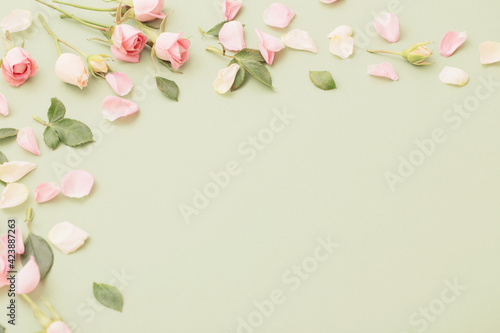 pink and white flowers on green paper background