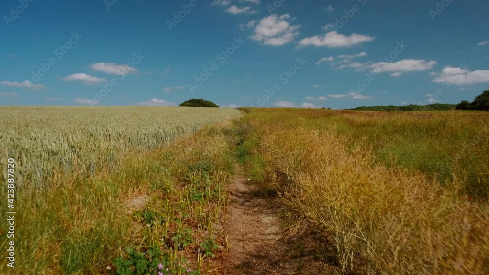 Walking along the stunning fields of Kent Downs Area of Outstanding Natural Beauty, in Southern England, UK Walking along the stunning fields of Kent Downs Area of Outstanding Natural Beauty, in Southern England, UK