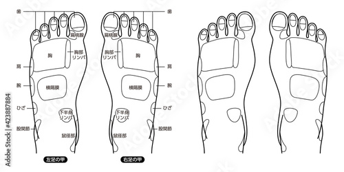 足つぼ名称図解