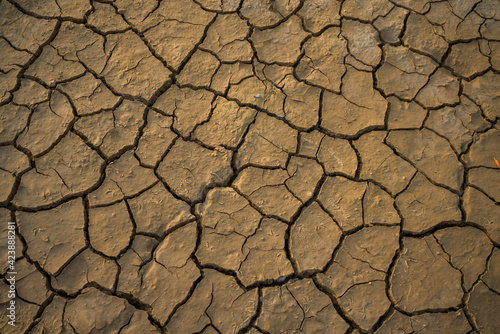 Arid, lack of water, causing the soil to dry.No rain in season. Global warming Earth land without rain.