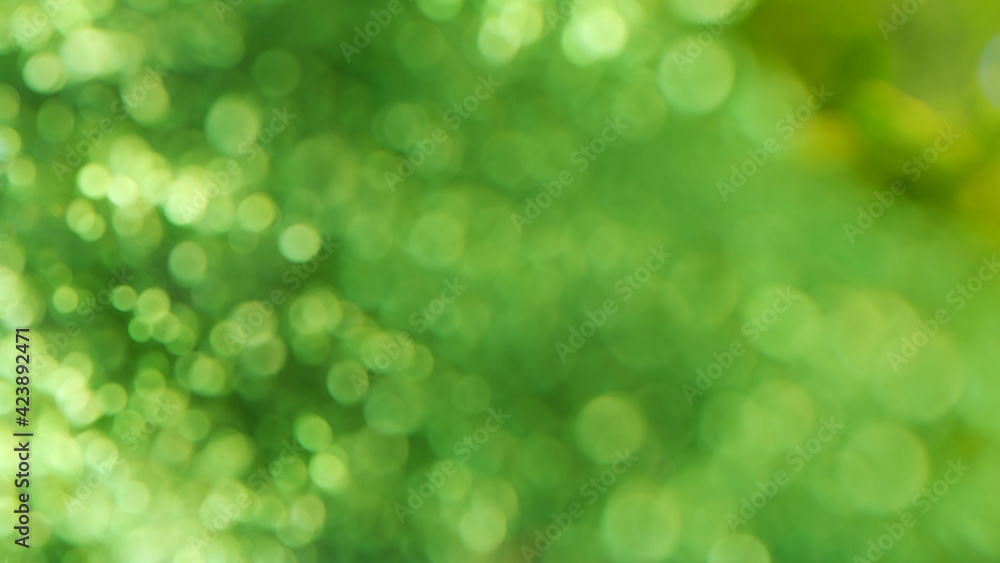 Obraz premium green bokeh background
