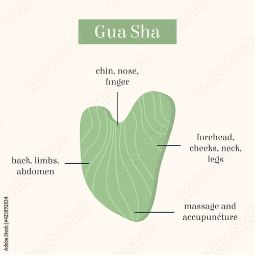 Infographic of Gua Sha Jade scraping massage tool usage. Natural pink rose quartz stone scraper. Chinese traditional facial lifting for woman. Facial acupoints. Vector flat illustration.