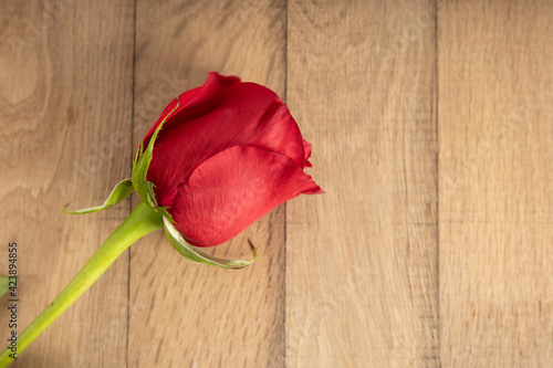 Red rose on wooden background. Background for valentines and woman day. Wedding decoration