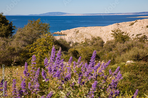View of the Croatian coast