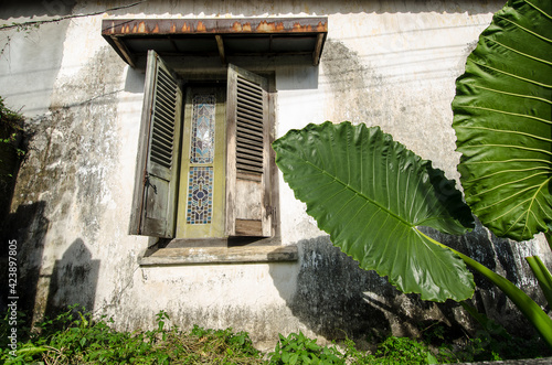 old window photo