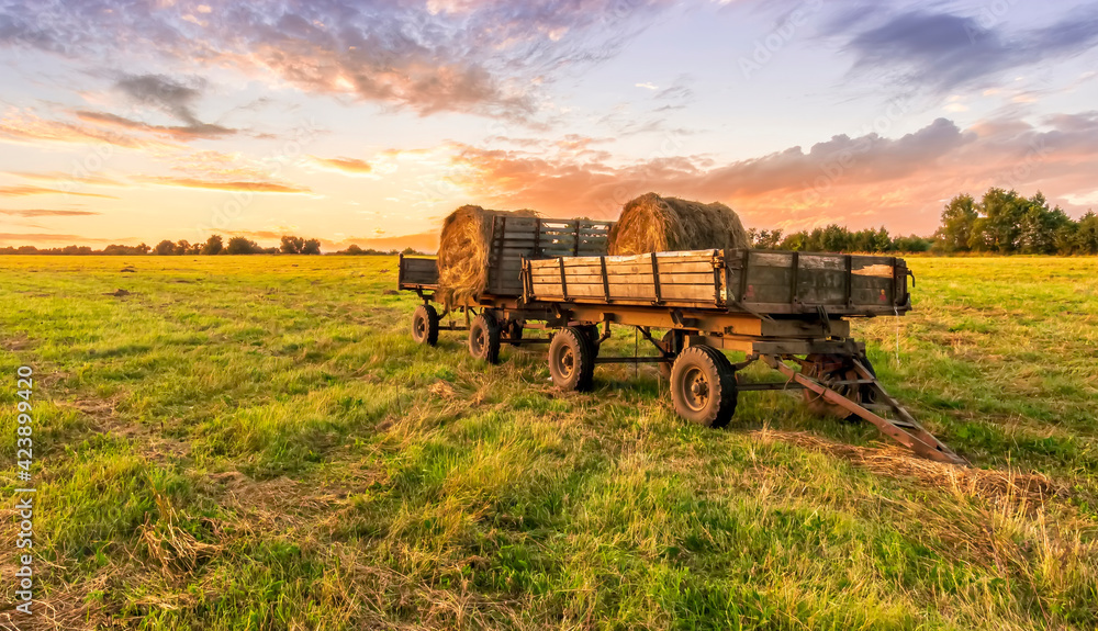 Fototapeta premium Old vintage carriage with hay stacks in green shiny field with beautiful sunset , hay cart in country valley during sunrise , wagon with haystacks and scenic view
