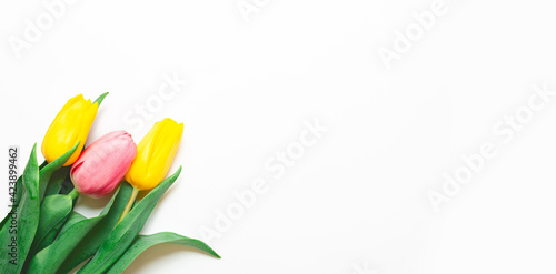 Fototapeta Naklejka Na Ścianę i Meble -  tulip flower on white background with copy space