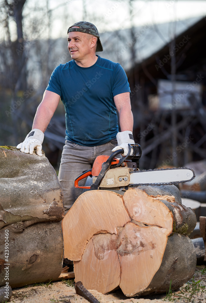 Lumberjack by sawn off logs