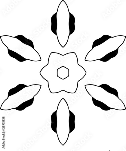 Hand Drawing Abstract Flower Vector By Hand Drawing.White Daisy Flower Star Shape Isolated. Circle Pattern Petal Flower Of Mandala With Black And White, Hand Drawn Pattern, Flower Pattern.