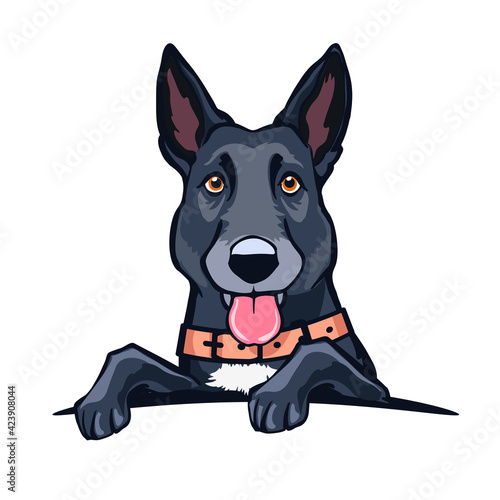 cartoon german shepherd portrait with collar as dog symbol or pet logo