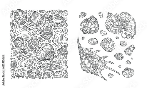 Seashell pattern. Sea shell border, clipart. Vector illustration. Zentangle, zen art. Coloring book page for adult. Hand drawn artwork. Black and white. Bohemian ethnic concept