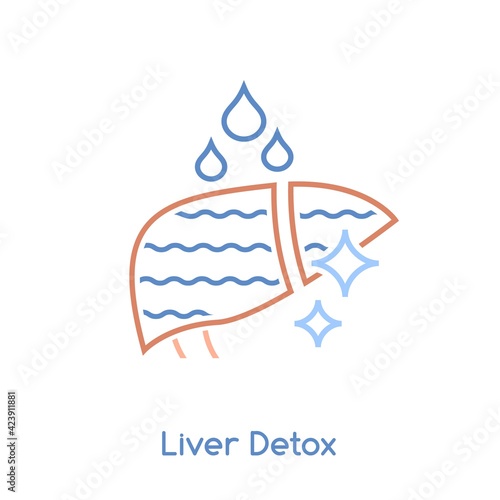 Liver detox icon. Linear medical pictogram. Vector illustration