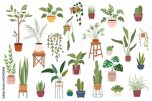 Home plants in pots isolated scenes set. Different houseplants flowerpots. Green garden for decoration. Bundle of modern scandinavian interiors. Vector illustration in flat cartoon design elements