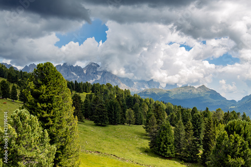 Landscape of the Natural Park of Paneveggio Pale di San Martino in Tonadico, Trentino, Italy photo