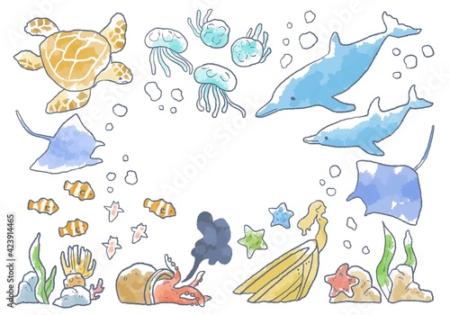 優しいタッチの海の生き物イラストフレーム
