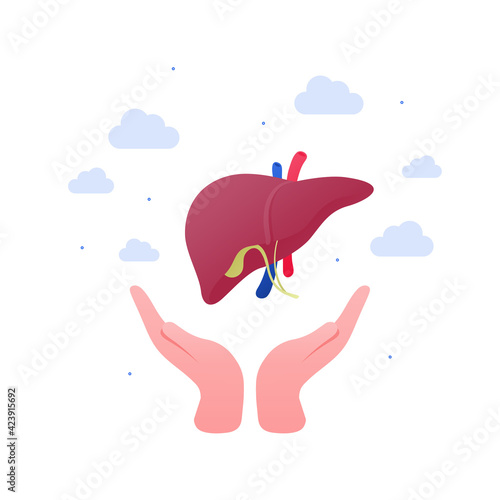 Liver disease, diagnosis and treatment concept. Vector flat illustration. Human hands holding liver organ. Design for health care.