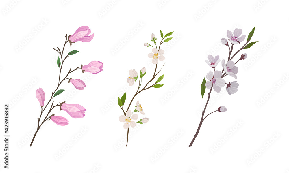 Floral Twigs and Branches with Tender Flower Buds and New Leaves Vector Set Floral Twigs and Branches with Tender Flower Buds and New Leaves Vector Set