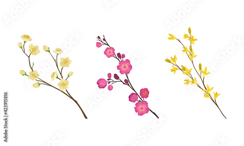 Floral Twigs and Branches with Tender Flower Buds and New Leaves Vector Set