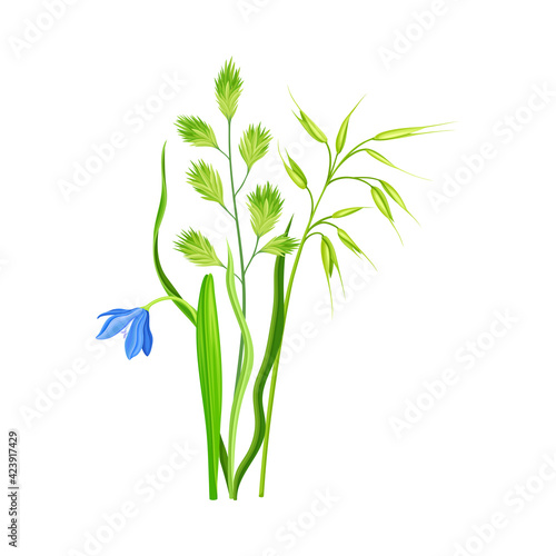 Floral Composition with Wildflowers and Meadow Plants Vector Illustration