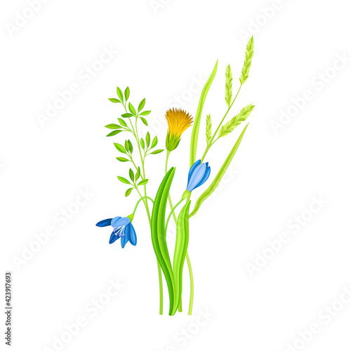 Freshly Cut Wildflowers and Meadow Plants on Stem as Floral Vector Composition