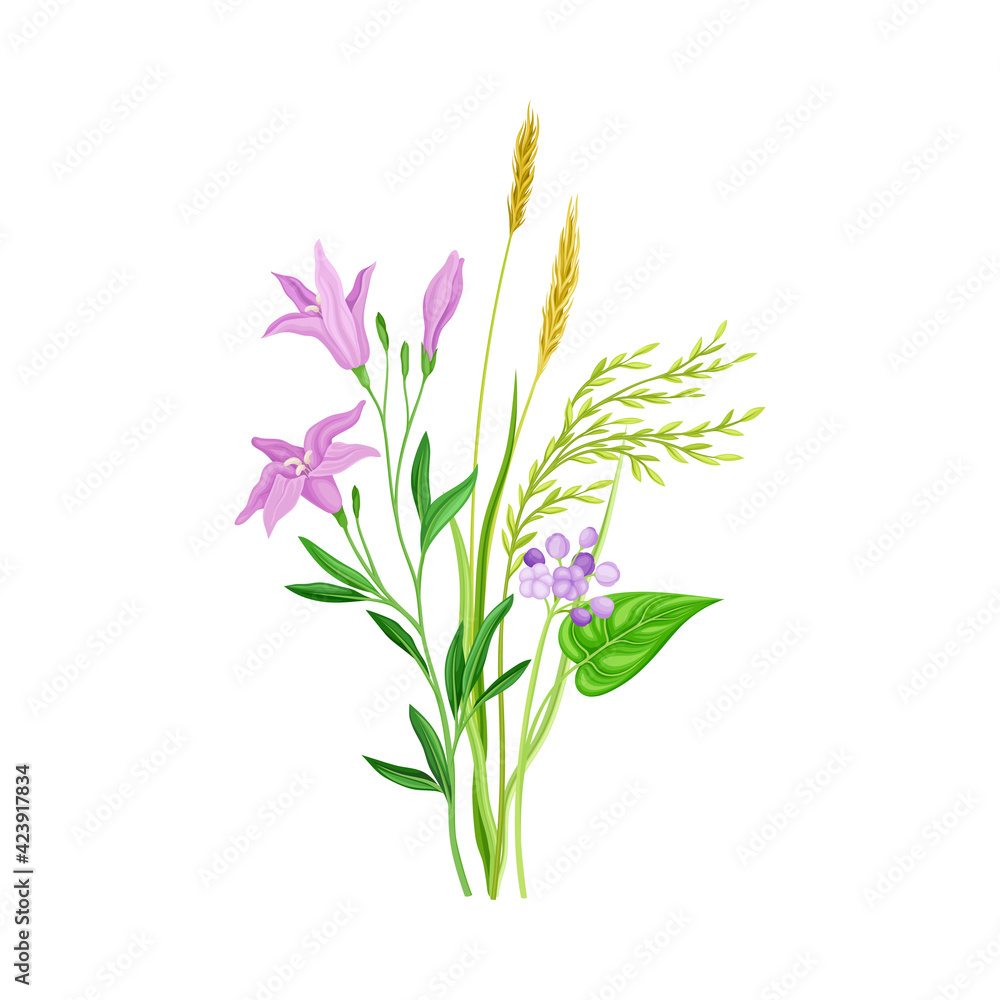 Freshly Cut Wildflowers and Meadow Plants on Stem as Floral Vector Composition Freshly Cut Wildflowers and Meadow Plants on Stem as Floral Vector Composition