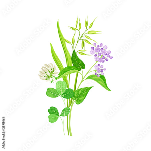 Wildflowers Composition with Meadow Plants and Flora Closeup View Vector Illustration