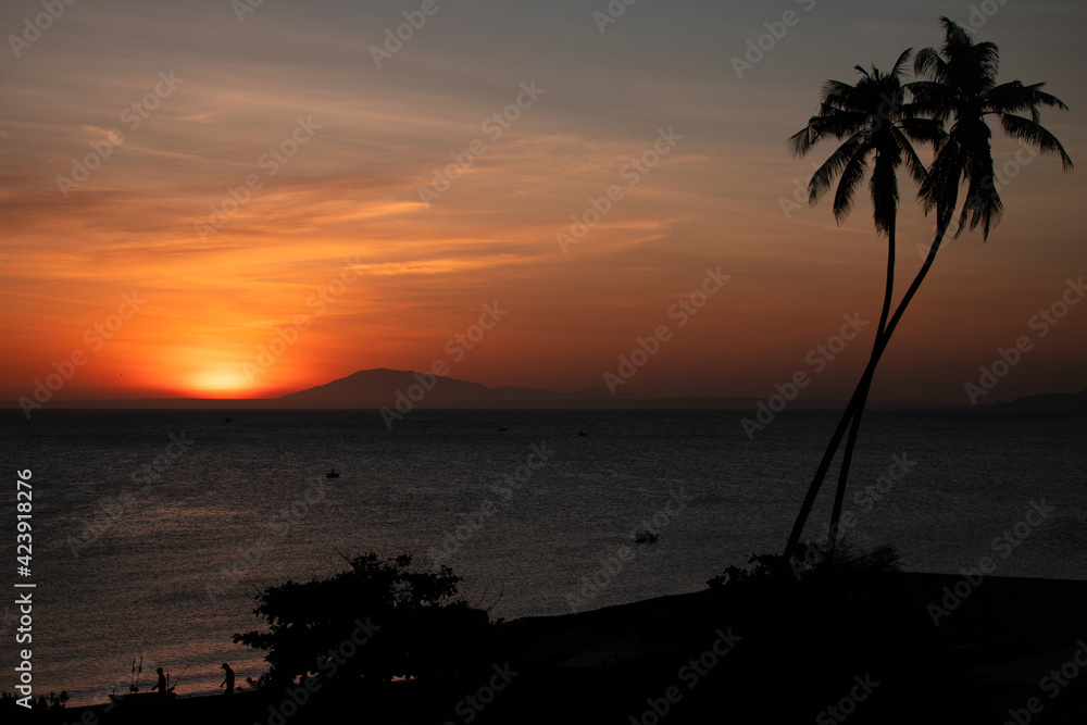 Two palm trees in the foreground on the background of red sky at sunset.