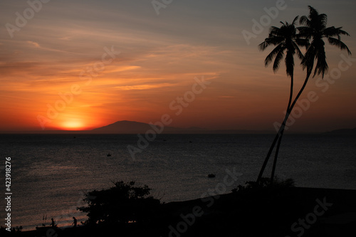 Two palm trees in the foreground on the background of red sky at sunset.