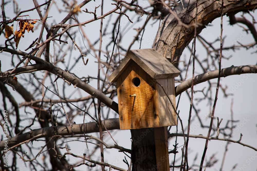 The birdhouse hangs on the tree.