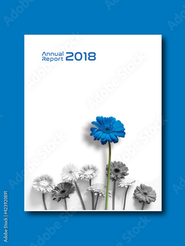 Annual report, relate, place in a favorable light, report, news