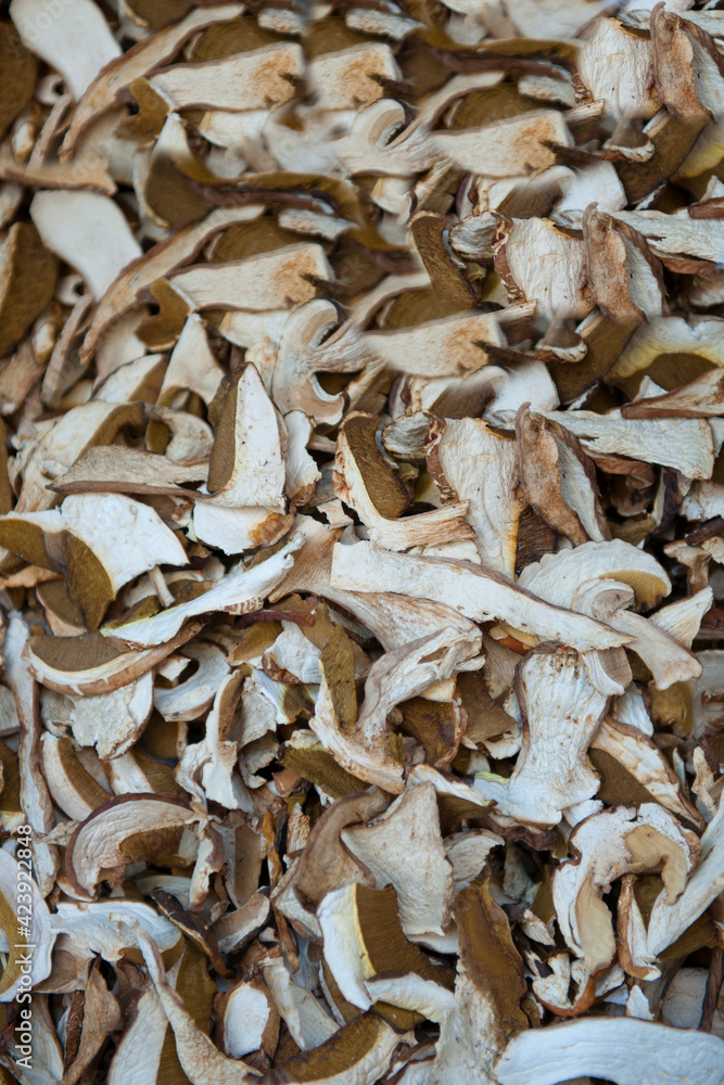 Top view of dried mushrooms background. Studio shoot. Top view of dried mushrooms background. Studio shoot.