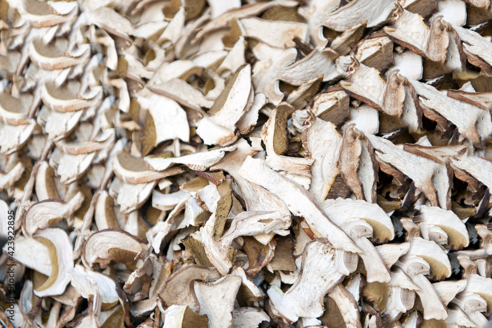 Top view of dried mushrooms background. Studio shoot. Top view of dried mushrooms background. Studio shoot.
