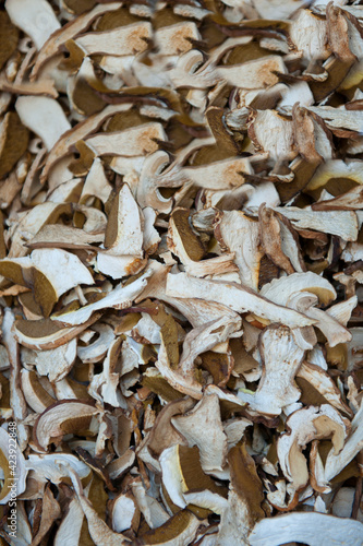 Top view of dried mushrooms background. Studio shoot.
